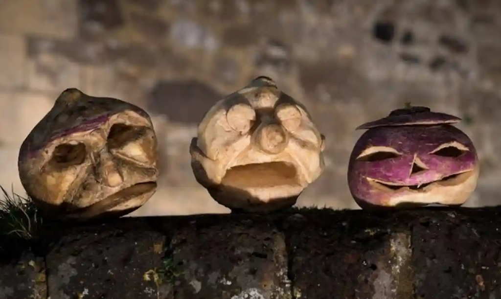 Carved turnips on display at Dover Castle.