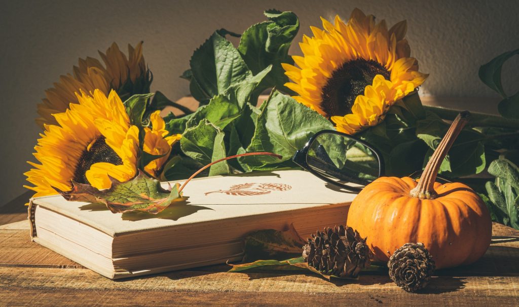 Harvest display of pumpkin, sunflowers, pine cones, a book and reading glasses.