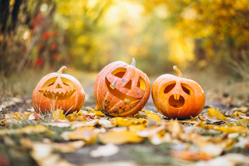 Three cute halloween pumpkins in autumn park