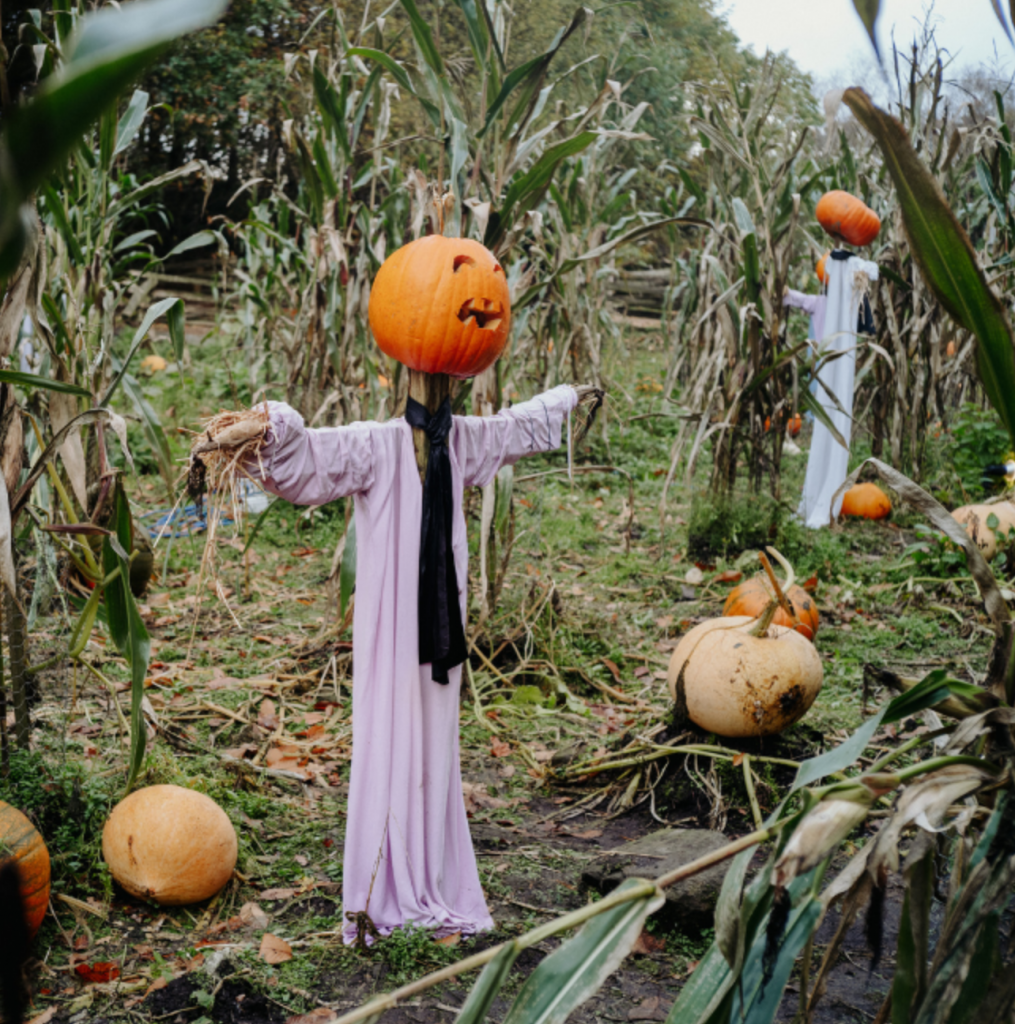 scarecrow with a pumpkin head at Ulster American Folk Park