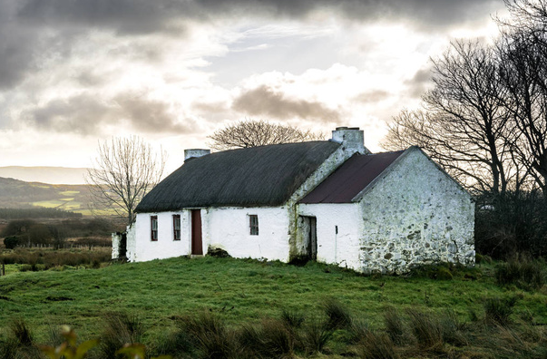 Old Irish cottage in the middle of a field